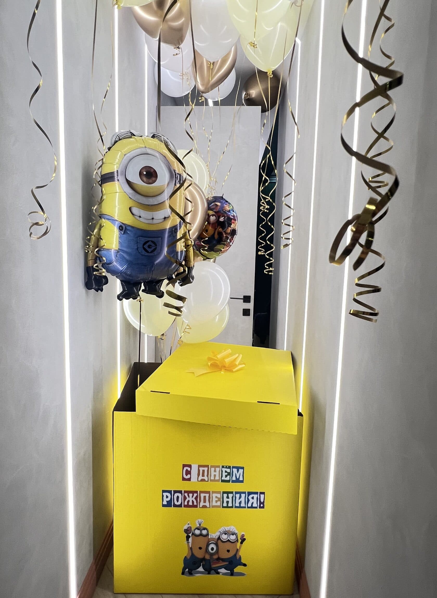 Миньон box