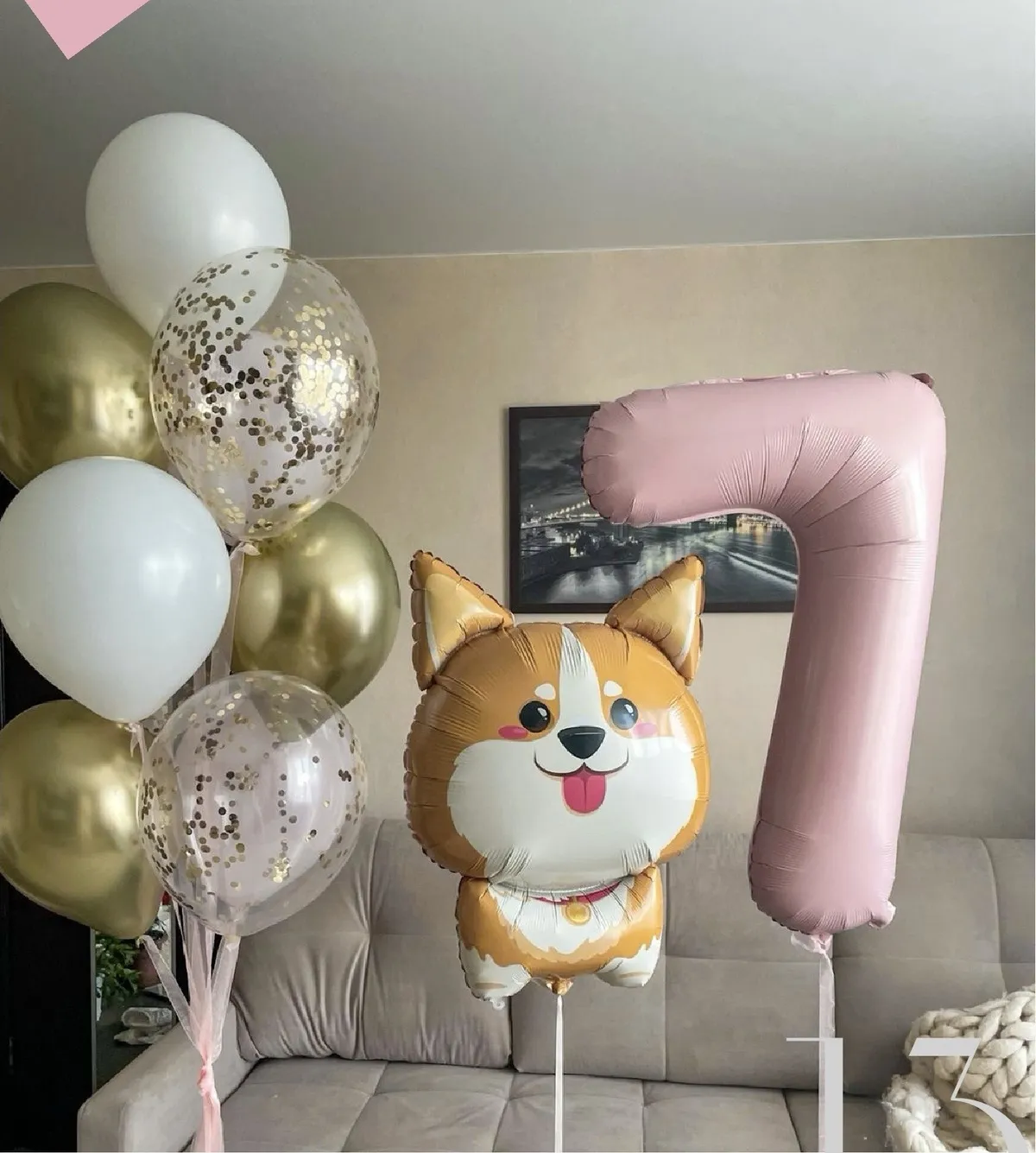 Семь лет с корги