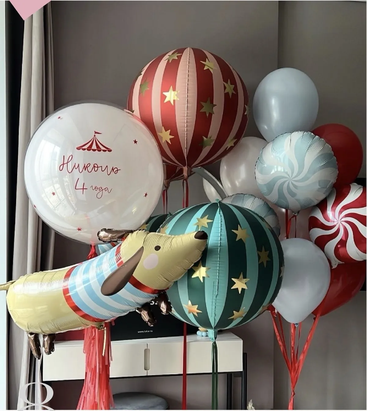 Цирковые шары с таксой и леденцами